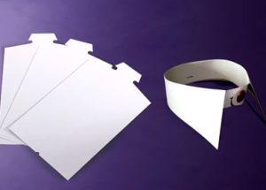 Board (Back and Neck)